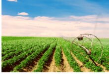 Agricultural Lawyers in Idaho